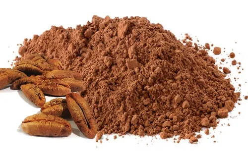 DATES KERNEL ( NUWAH ) 250 gm