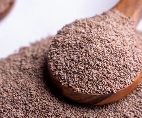 PSYLLIUM SEEDS 100gm