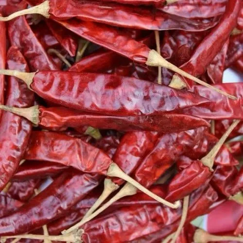 LONG CHILLY INDIA - 1KG