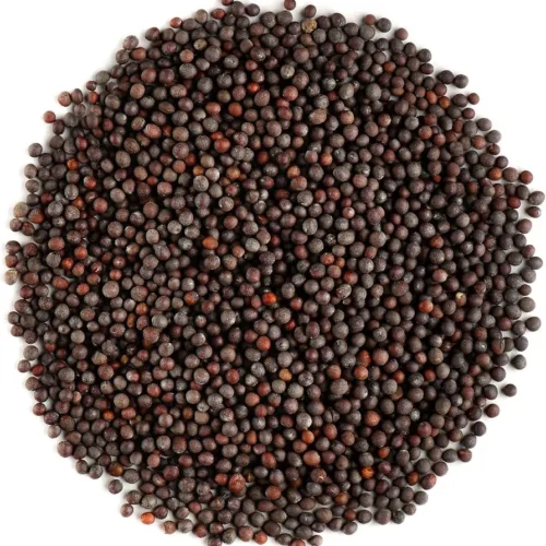 MUSTARD BLACK INDIA 1KG