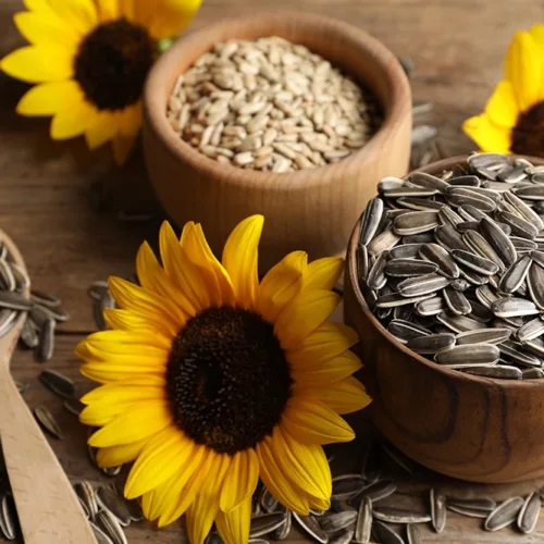 SUNFLOWER SEEDS CHINA - 1KG