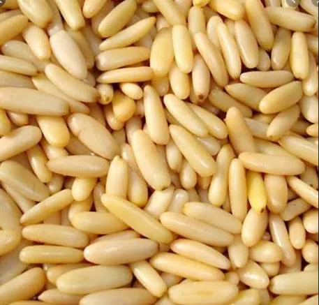 PINENUTS - 1KG